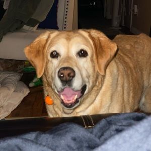 Meet your Posher, Tammy